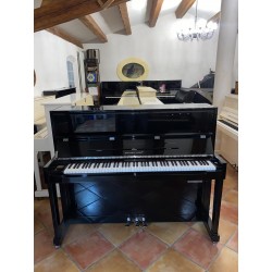 Piano Suisse : Hermann Jacobi avec option silent : 4500 €