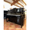 Schimmel W114 Tradition Wilhelm : 6500 €