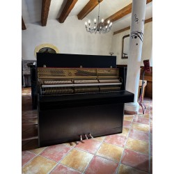 PETROF P115 – Noir satiné